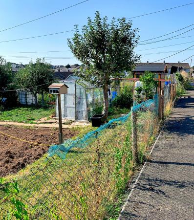 Photo Gallery Image - Grenfell Avenue Allotments