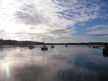 Photo Gallery Image - The River Tamar