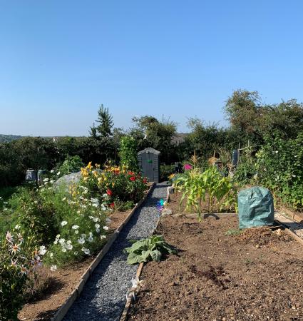 Photo Gallery Image - Churchtown Allotments