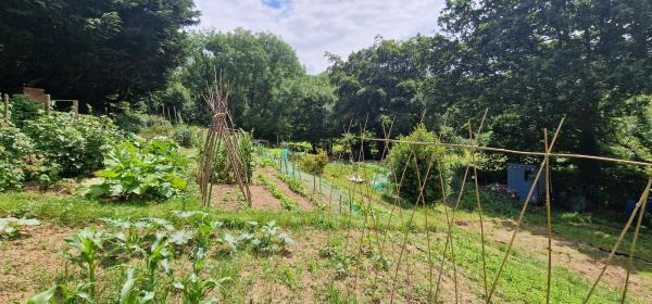 Photo Gallery Image - Fairmead Allotment 