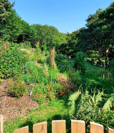 Photo Gallery Image - Fairmead Allotments